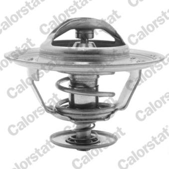 Thermostat d'eau CALORSTAT BY VERNET