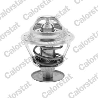Thermostat d'eau CALORSTAT BY VERNET