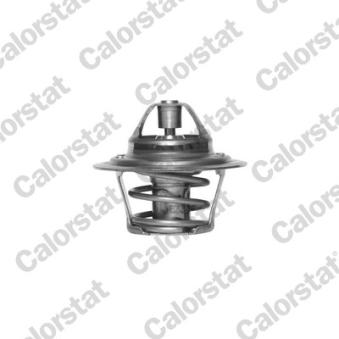 Thermostat d'eau CALORSTAT BY VERNET TH3319.88J