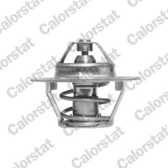 Thermostat d'eau CALORSTAT BY VERNET