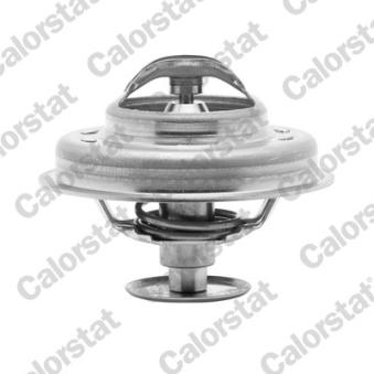 Thermostat d'eau CALORSTAT BY VERNET TH4947.81J