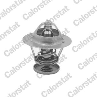 Thermostat d'eau CALORSTAT BY VERNET TH5077.88J