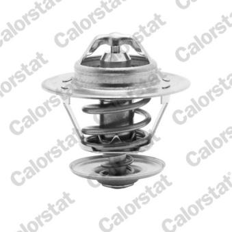 Thermostat d'eau CALORSTAT BY VERNET