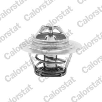 Thermostat d'eau CALORSTAT BY VERNET TH5955.88J