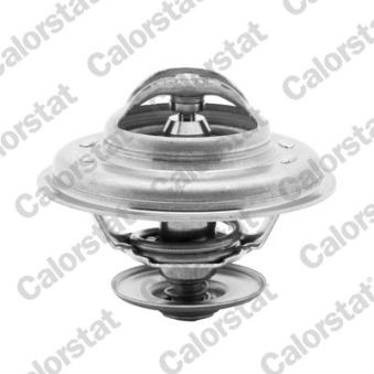 Thermostat d'eau CALORSTAT BY VERNET TH5968.87J