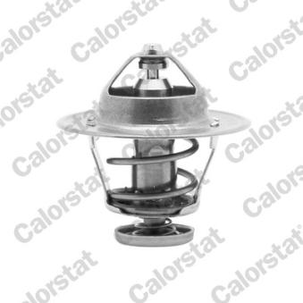 Thermostat d'eau CALORSTAT BY VERNET