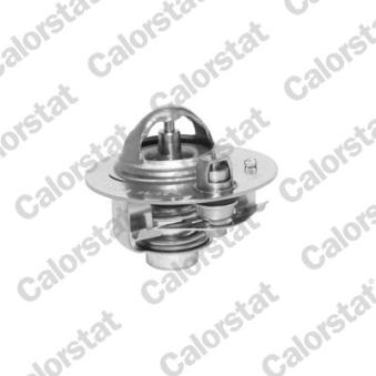Thermostat d'eau CALORSTAT BY VERNET