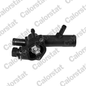 Thermostat d'eau CALORSTAT BY VERNET TH6416.83J