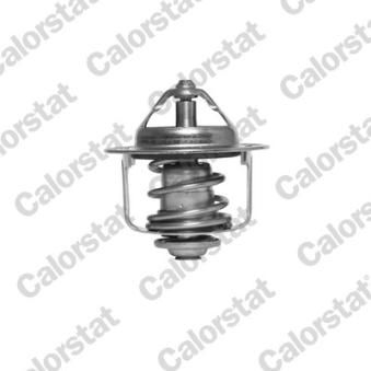 Thermostat d'eau CALORSTAT BY VERNET