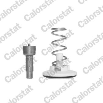 Thermostat d'eau CALORSTAT BY VERNET TH6965.87