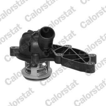 Thermostat d'eau CALORSTAT BY VERNET TH6989.88J