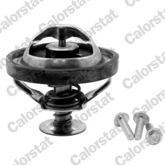 Thermostat d'eau CALORSTAT BY VERNET