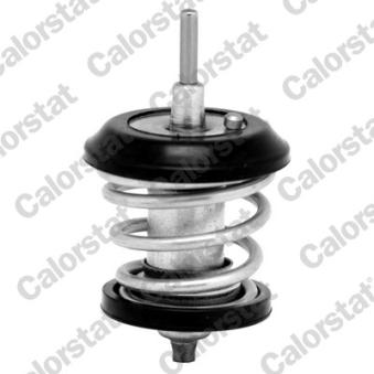 Thermostat d'eau CALORSTAT BY VERNET TH7188.95J