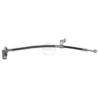 Flexible de frein A.B.S.