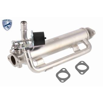 Radiateur, réaspiration des gaz d'échappement VEMO V10-63-0133