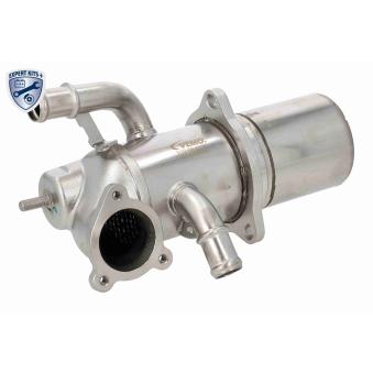 Radiateur, réaspiration des gaz d'échappement VEMO V10-63-0189