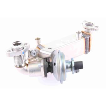 Radiateur, réaspiration des gaz d'échappement VEMO V20-63-0038