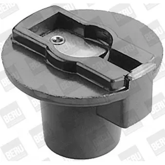 Doigt allumeur BERU EVL051