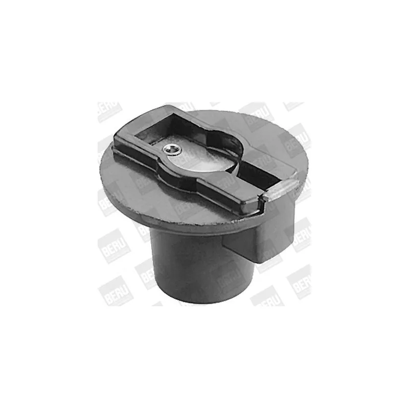 Doigt allumeur BERU EVL051