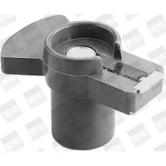 Doigt allumeur BERU EVL094