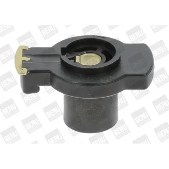 Doigt allumeur BERU EVL138