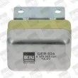 Régulateur d'alternateur BERU GER024 - Visuel 1