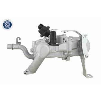 Radiateur, réaspiration des gaz d'échappement VEMO V22-63-0029