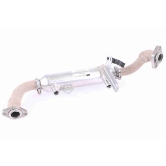 Radiateur, réaspiration des gaz d'échappement VEMO V24-63-0020