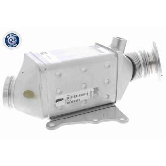 Radiateur, réaspiration des gaz d'échappement VEMO V24-63-0023