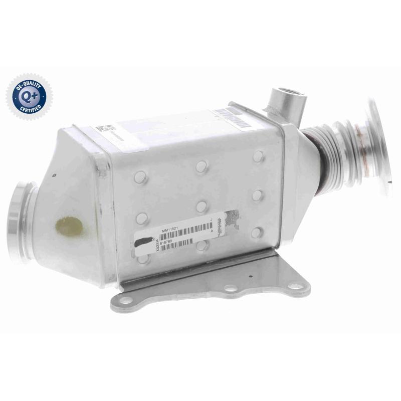 Radiateur, réaspiration des gaz d'échappement VEMO V24-63-0023 - Visuel 1