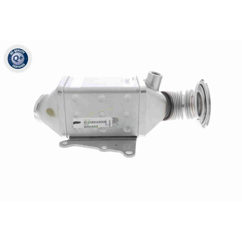 Radiateur, réaspiration des gaz d'échappement VEMO V24-63-0023 - Visuel 2