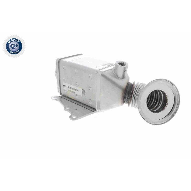 Radiateur, réaspiration des gaz d'échappement VEMO V24-63-0023 - Visuel 3