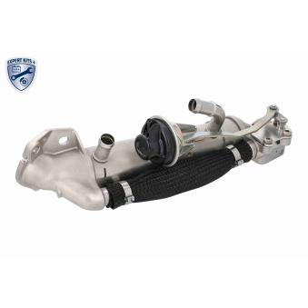 Radiateur, réaspiration des gaz d'échappement VEMO V25-63-0076