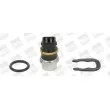 Sonde de température, liquide de refroidissement BERU ST030 - Visuel 1