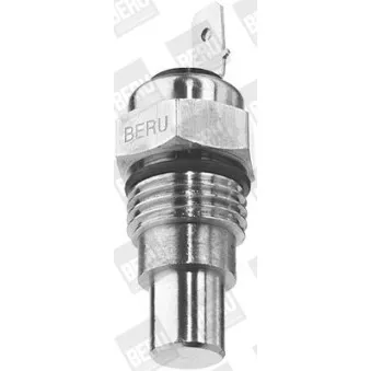 Sonde de température, liquide de refroidissement BERU ST042