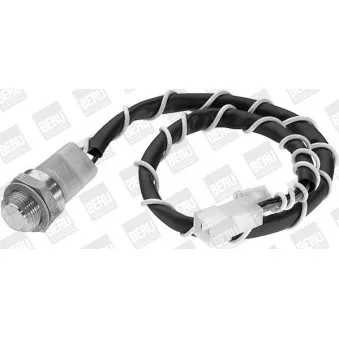 Interrupteur de température, ventilateur de radiateur BERU ST074