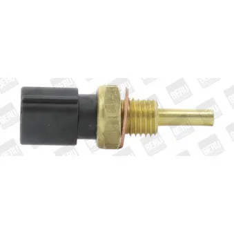 Sonde de température, liquide de refroidissement BERU ST219