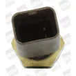 Sonde de température, liquide de refroidissement BERU ST221 - Visuel 3