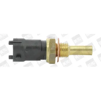 Sonde de température, liquide de refroidissement BERU ST243
