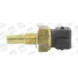 Sonde de température, liquide de refroidissement BERU ST256 - Visuel 1