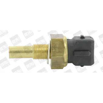 Sonde de température, liquide de refroidissement BERU ST256