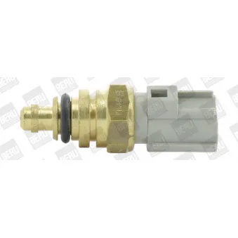 Sonde de température, liquide de refroidissement BERU ST258