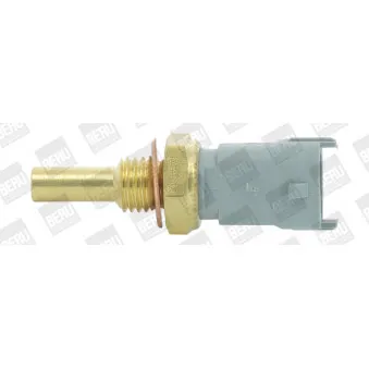 Sonde de température, liquide de refroidissement BERU ST265