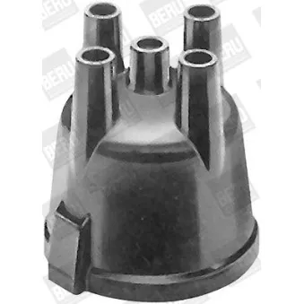 Tête d'allumeur BERU VK202