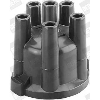 Tête d'allumeur BERU VK257