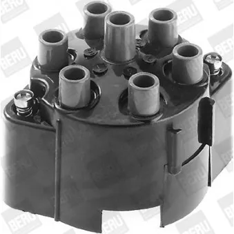 Tête d'allumeur BERU VK290S