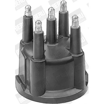 Tête d'allumeur BERU VK361