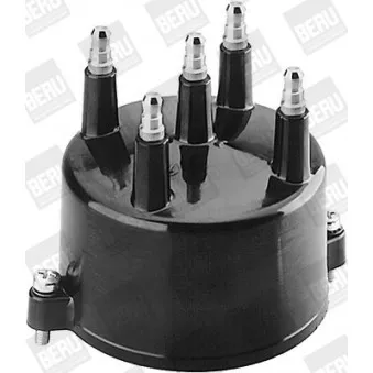 Tête d'allumeur BERU VK391