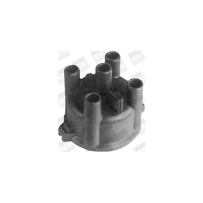 Tête d'allumeur BERU VK492