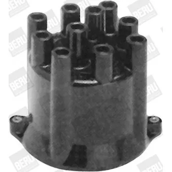 Tête d'allumeur BERU VK495